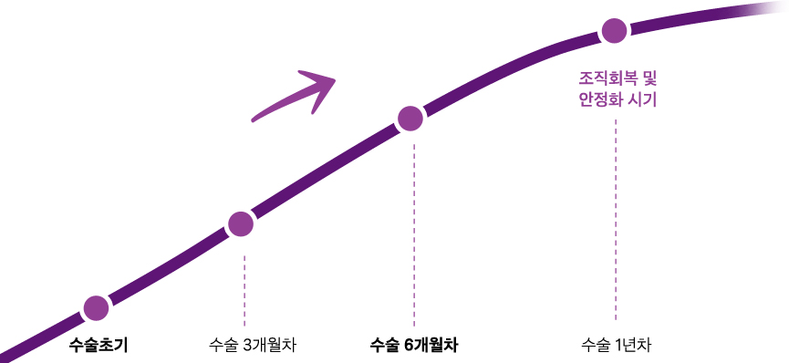 그래프